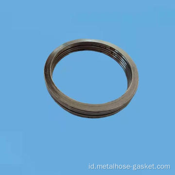 Gasket luka grafit dasar 304L